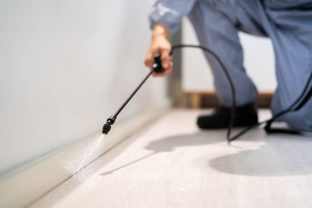 Licensed Pest Control service in Melville, RI - Show Me Pest Control